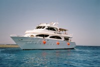 Foto des Safarischiffes "Sea Cruiser"